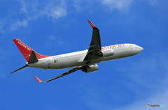 「青が大好き」 EASTAR JET 737-8BK  離陸