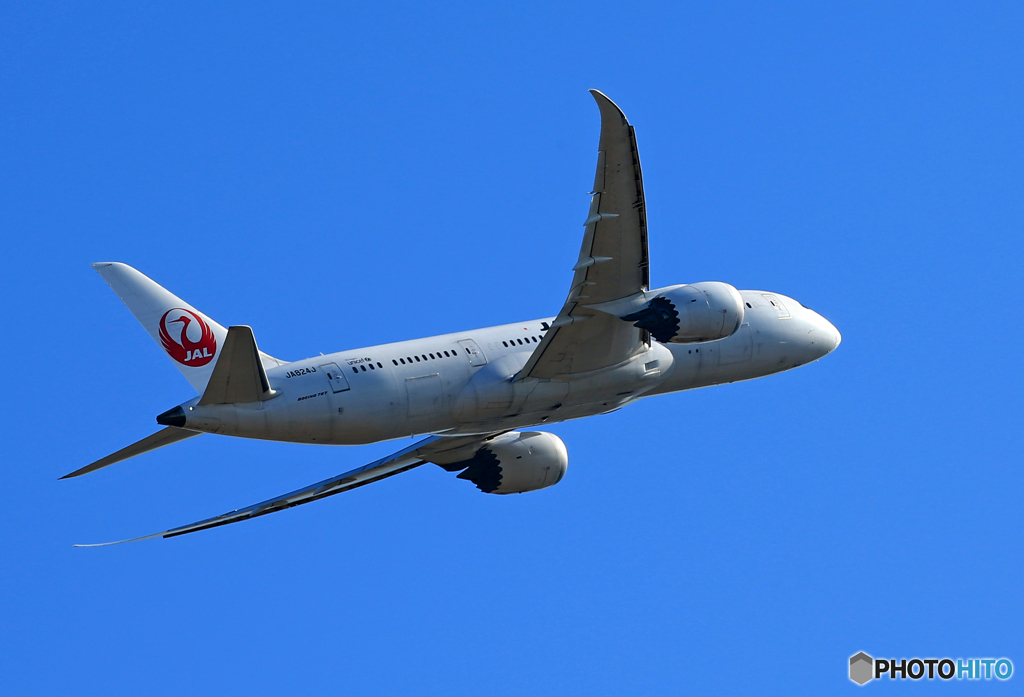 「青い空」が一番 JAL 787-8 JA824J 飛び立ち