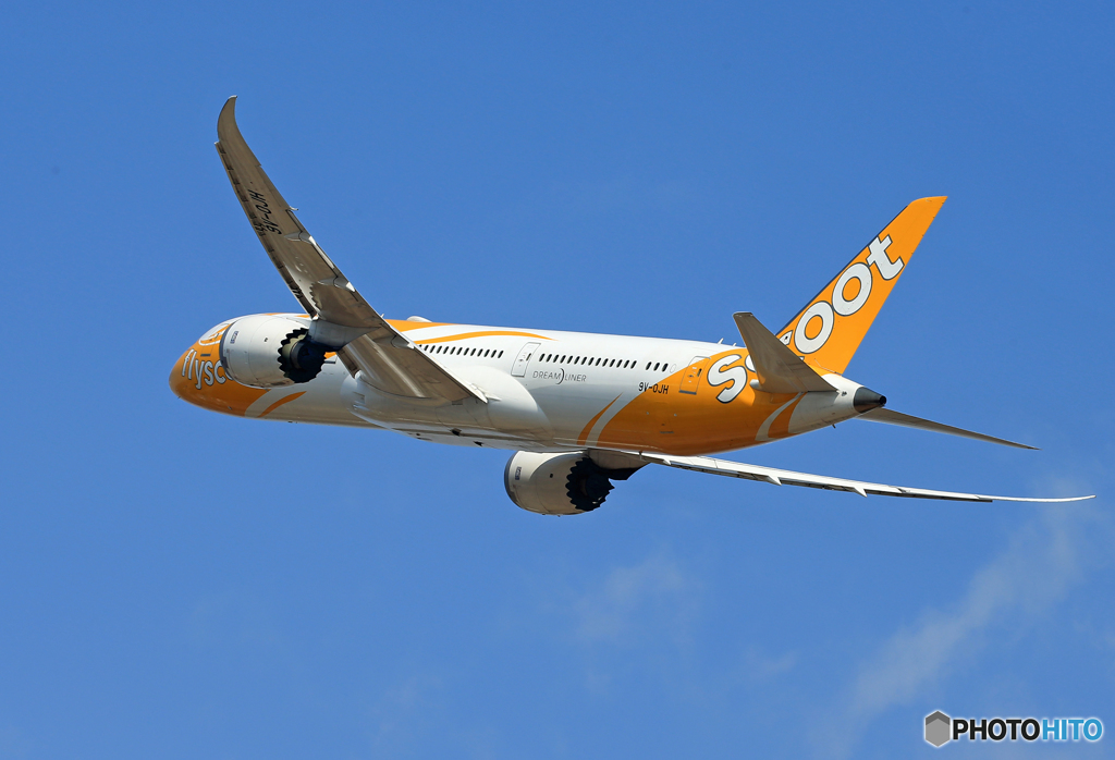 「Blue」 scoot 787-9 9V-OJH 飛ぶ