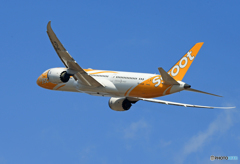 「Blue」 scoot 787-9 9V-OJH 飛ぶ