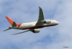 「青色が好き」 AIR INDIA 787-8 VT-ANI Takeoff 