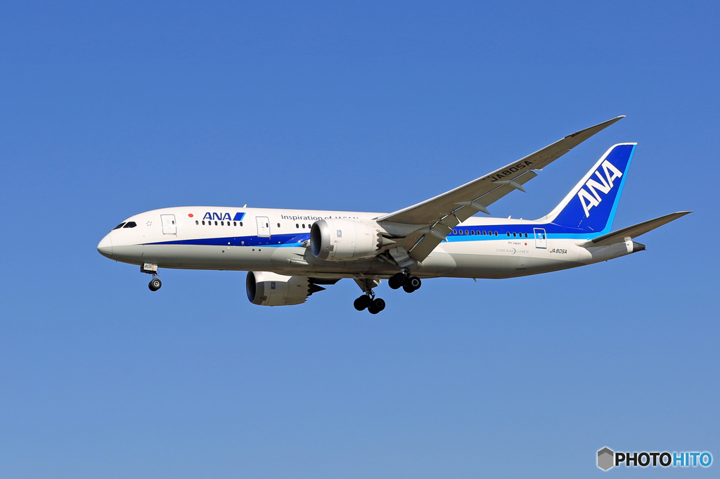 「ぶるー」 ANA 787-8 JA805A 着陸