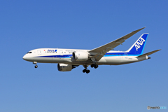 「ぶるー」 ANA 787-8 JA805A 着陸