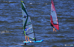 「すかい」　どうぞこのままでぇ〜