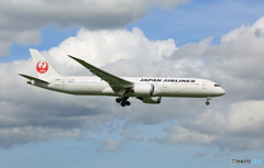 「そらー」 JAL 787-9 JA861J 着陸します