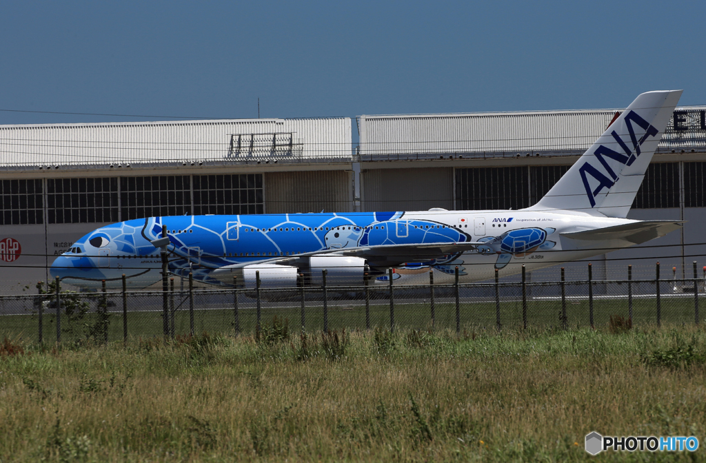 「真青の空」ANA A380-841 JA841A 出発