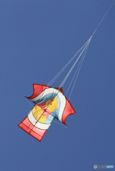 「SKY」天高く・凧ですが見た事が　あるキャラクター？