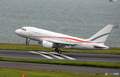 ☮ルクセンブルク グローバル ジェット A318☮