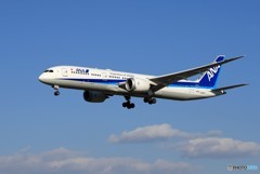 ANA 787-9 JA897A 到着です