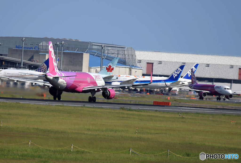 「蒼空」peach A320-214  ダブル 離陸します