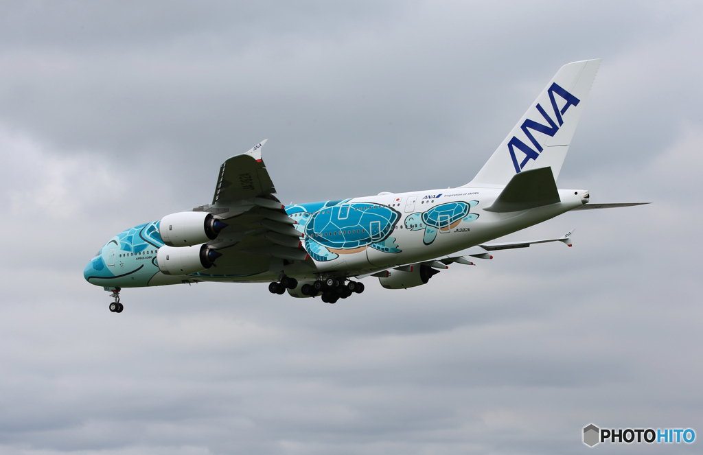 「曇り」 ANA A380-841 2号機  Landing