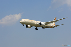 「青い空」が一番 ETIHAD 787-9 A6-BLB 到着