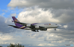 「青が好き」 THAI A380-841 HS-TUA 通過