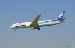 「青が好き」 ANA 787-9 JA871A 到着です