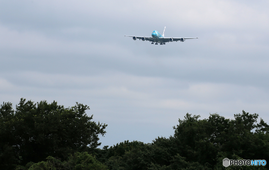 「良い天気」？ ホノルルから戻って来た✈海亀２号機✈