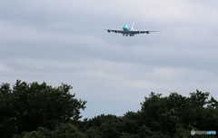 「良い天気」？ ホノルルから戻って来た✈海亀２号機✈