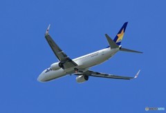 ☀「青い空」が一番 SKY 737 チャーター便GET