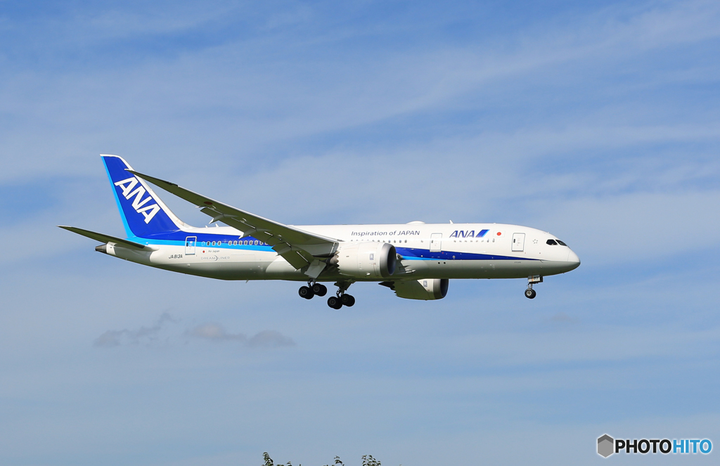 「あおぞら」 ANA 787-8 JA813A 飛行