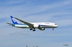 「あおぞら」 ANA 787-8 JA813A 飛行