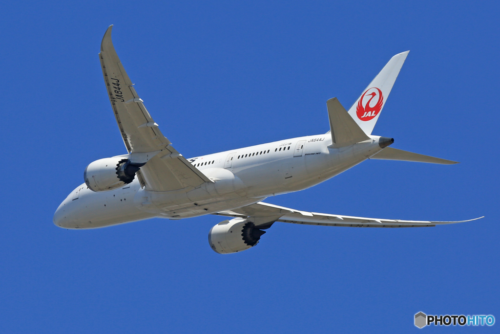 「すかい」 JAL 787-8 JA844J 飛び立ちです 
