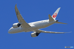 「すかい」 JAL 787-8 JA844J 飛び立ちです 
