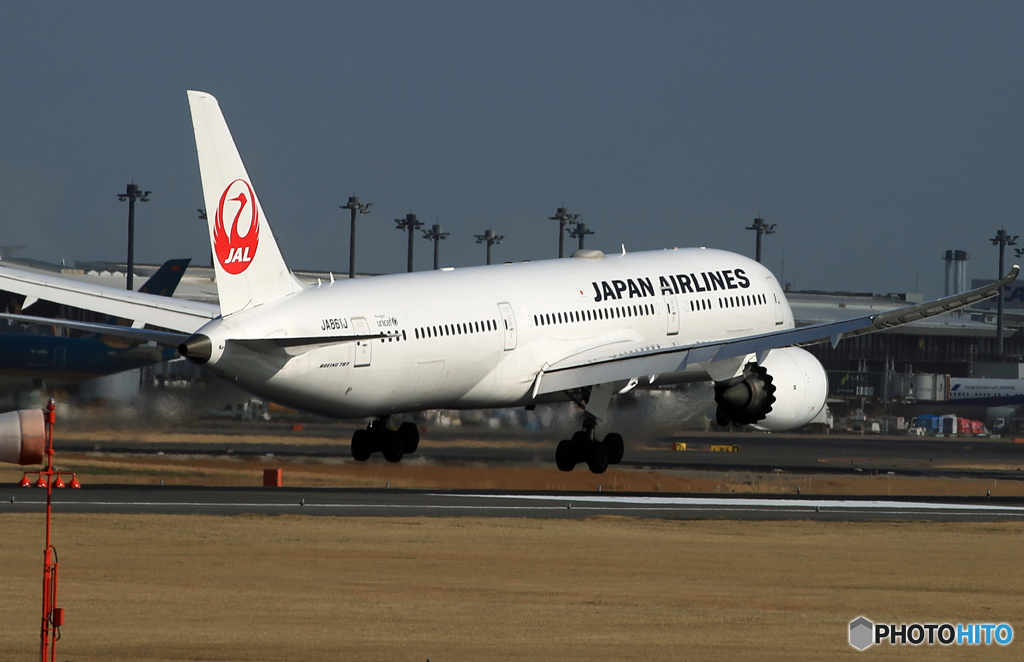 「雨」 JAL 787-9 JA861J 到着