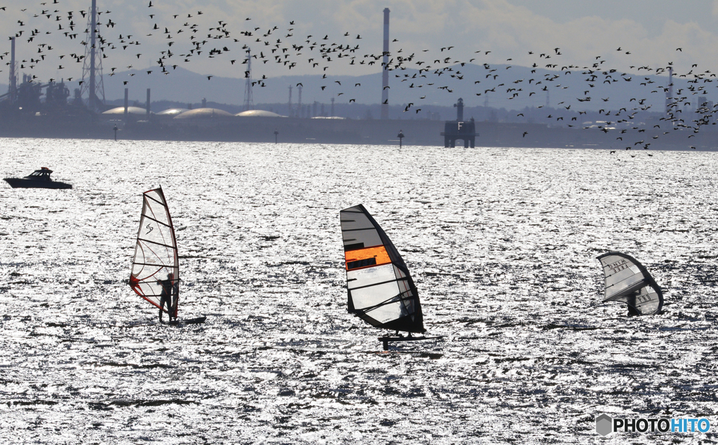 「マリンロード」　コラボ・川鵜