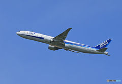 ☀「あおぞら」ANA 777-300 JA795A  飛び立ち