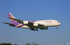 「SKY」 THAI A380-841 HS-TUD Landing