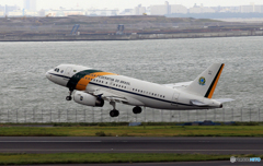 「青くない日」ブラジル機  A319-133 VC-I2101