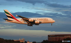 「スカイ」 エミレーツ航空 A380 良い空 Landing 