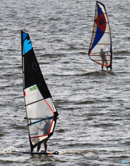 「SKY」ウインドサーフィン この調子で....