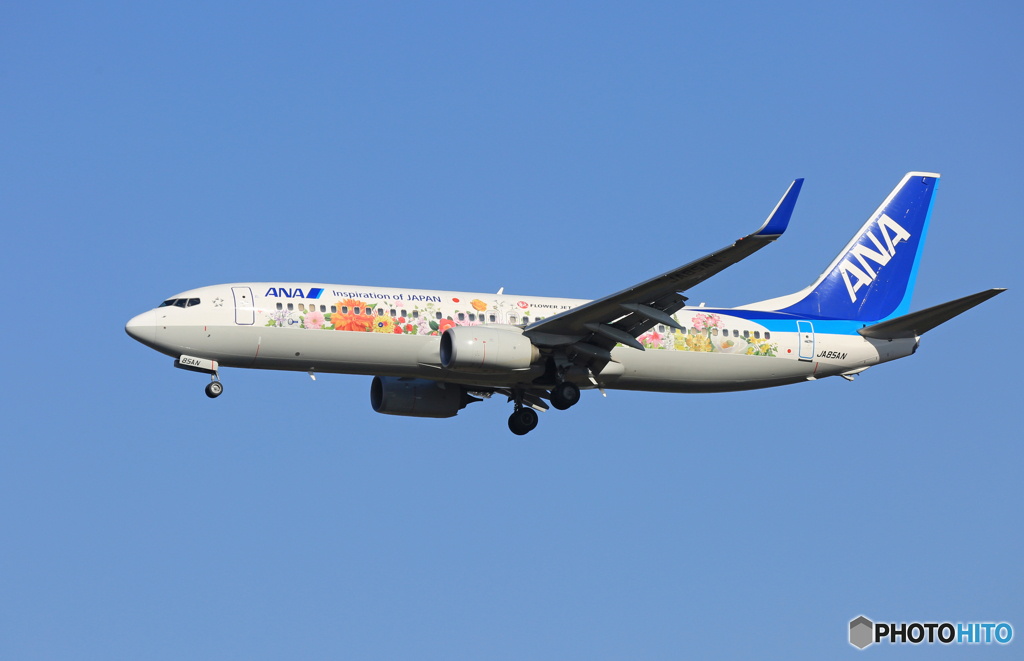 「良い空～」東北フラワージェット737-881着陸します