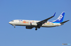 「良い空～」東北フラワージェット737-881着陸します