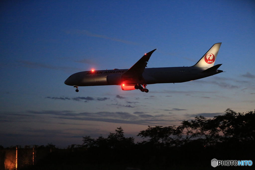 「青色が好き」 シルエットじゃる 787-9 JA874J