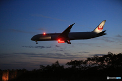 「青色が好き」 シルエットじゃる 787-9 JA874J