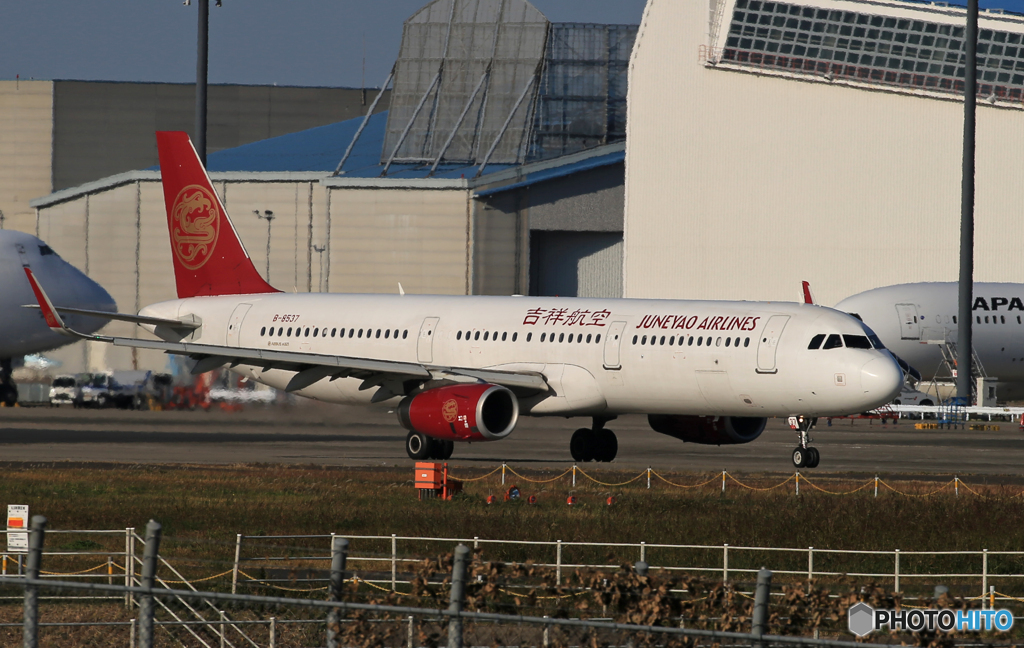 「すかい」 吉祥航空A321-231 B-8537 Takeoff 