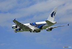 「SKY」 Malaysia A380-841 9M-MNB 出発です