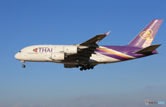 「青い日」 THAI A380-841 HS-TUD 着陸です