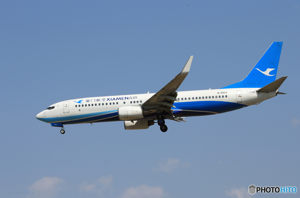  「Blue」 厦門航空 737-86N B-5603 Landing