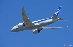 ☀「青い空」が一番 ANA 787-9 JA878A