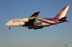 「スカイ」 THAI A380-841 HS-TUF 到着 