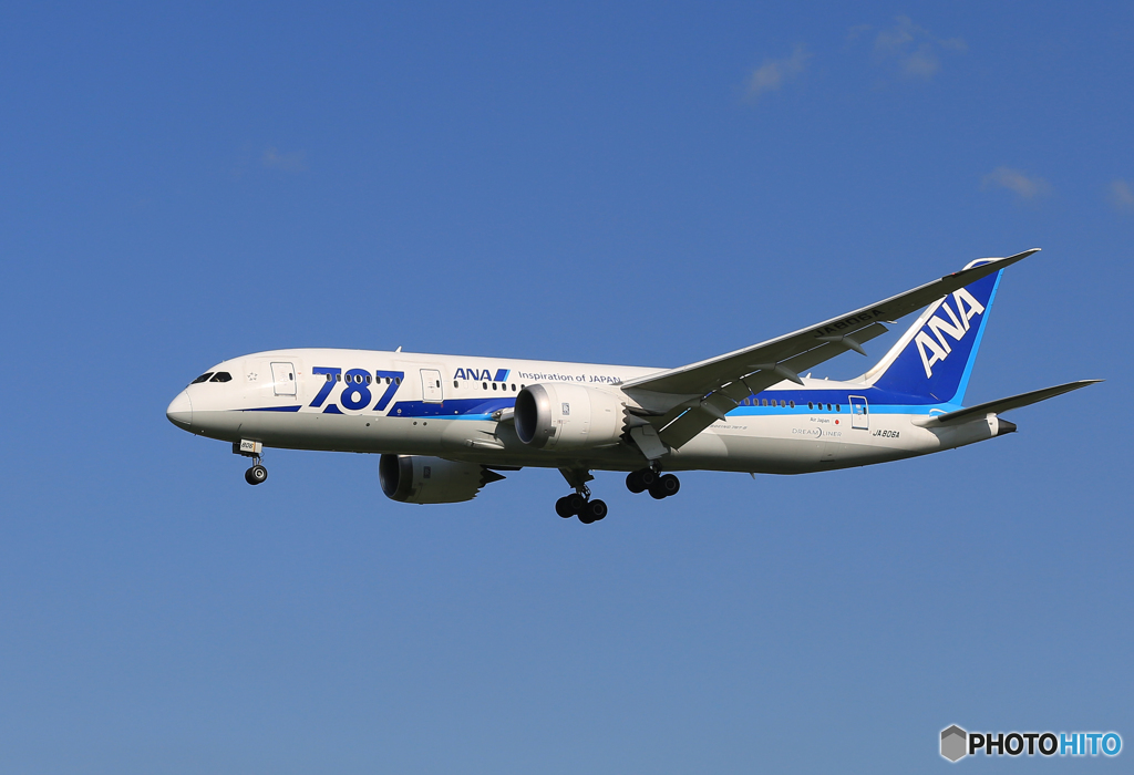 「真青の空」 ANA 787-8 JA806A 着陸