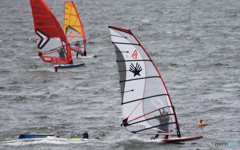 「スカイ」良い風が吹いている