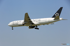 「スカイ」 UNITED STAR 777-222 N794UA 着陸します
