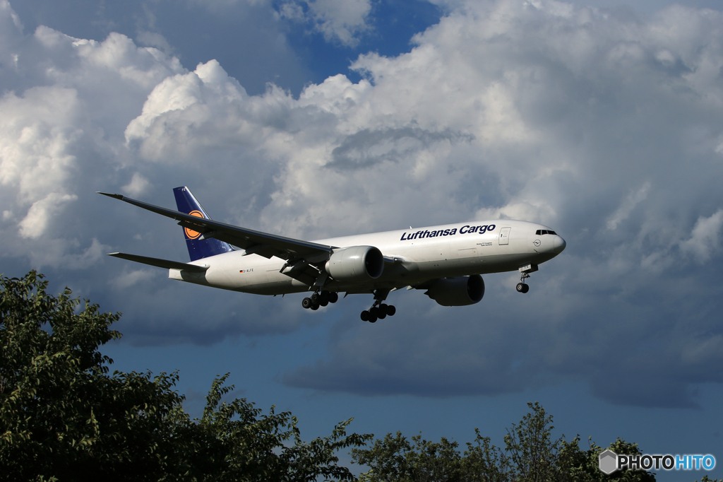 「真青の空」Lufthansa 777-FBT D-ALFE 到着