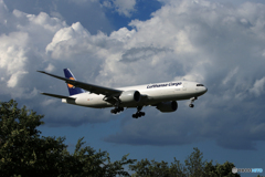「真青の空」Lufthansa 777-FBT D-ALFE 到着