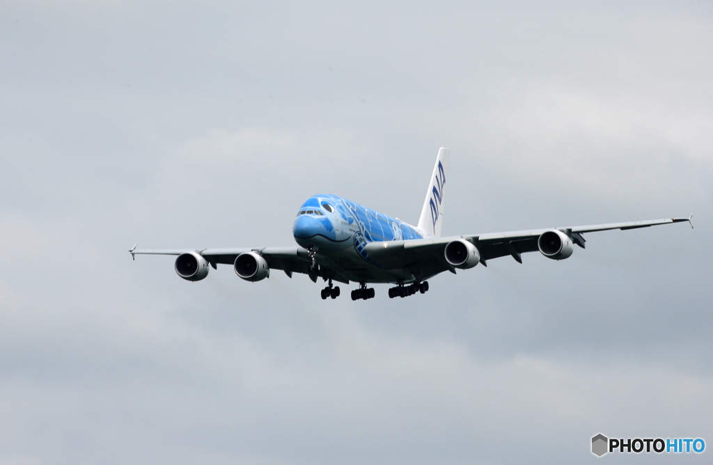 「曇り」ANA A380-841 JA381A Landing
