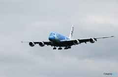 「曇り」ANA A380-841 JA381A Landing