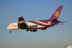 「良い天気」 THAI A380-841 HS-TUF 着陸 
